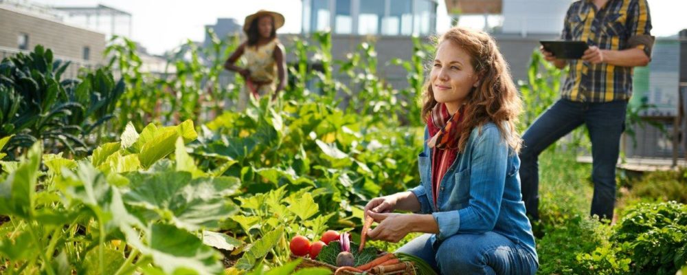 25 sustaining growth.jpg