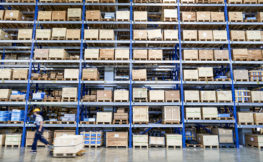 InstituteLM_page-photo_problems-organisation