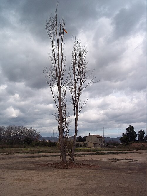 File:2016 01 09 Festa de Sant Antoni a Massalfassar 2016 26.jpg
