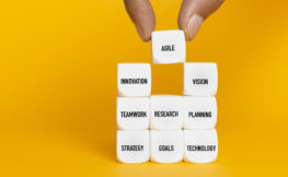 Agile Innovation - 1181256332.jpg