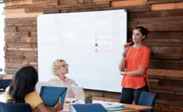 21.3 Mentoring Schemes -473497300.jpg