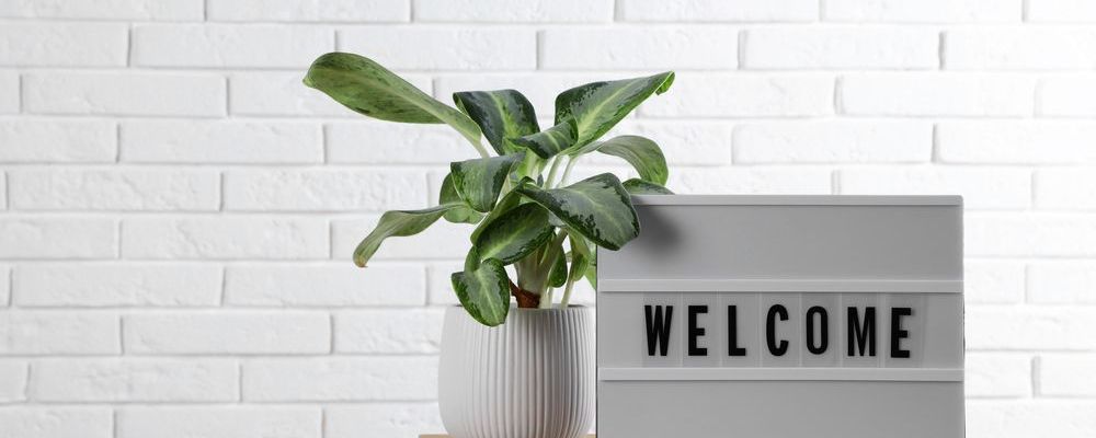 GettyImages-1468543143 (1).jpg