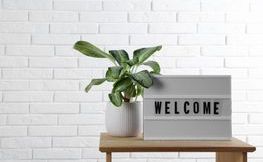 GettyImages-1468543143 (1).jpg