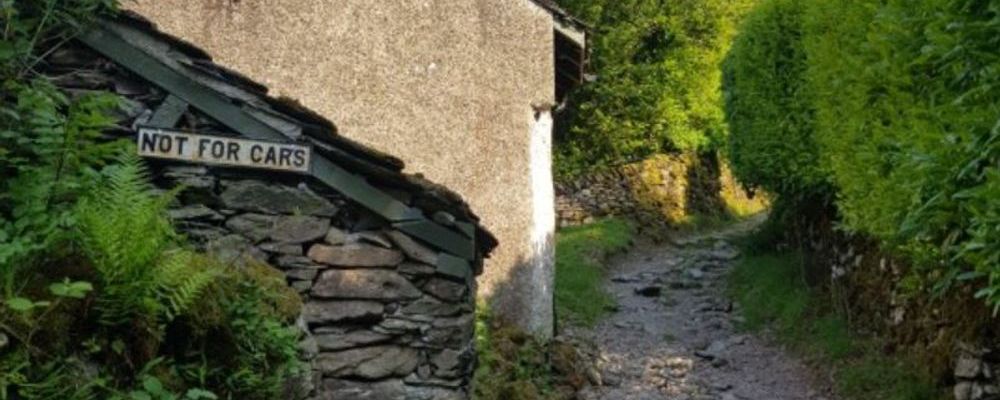 who needs a mentor.JPG