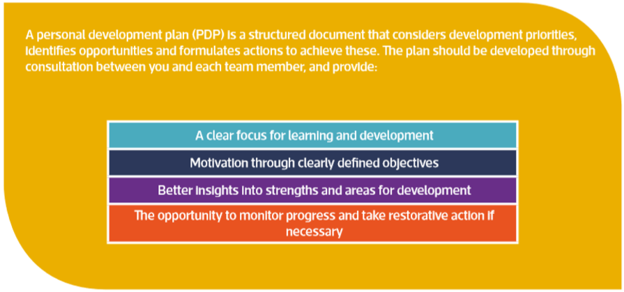 Developing Talent Picture 3.png